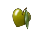 amore e olio